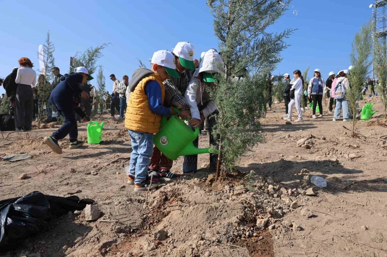 15 Ağustos’taki büyük yangının ardından İzmir’de ilk fidanlar toprakla buluştu
