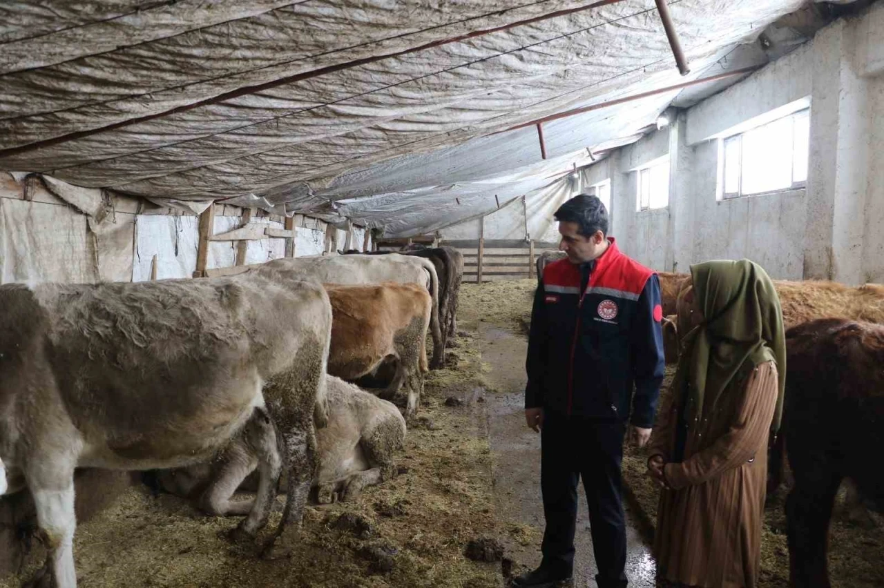 25 yıl sonra döndüğü memleketinde kendi işletmesini kurarak kadınlara örnek oldu
