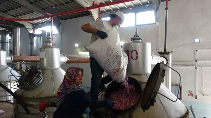 4 tondan sadece 1 litre çıkıyor, litresi 400 bin TL’yi buluyor
