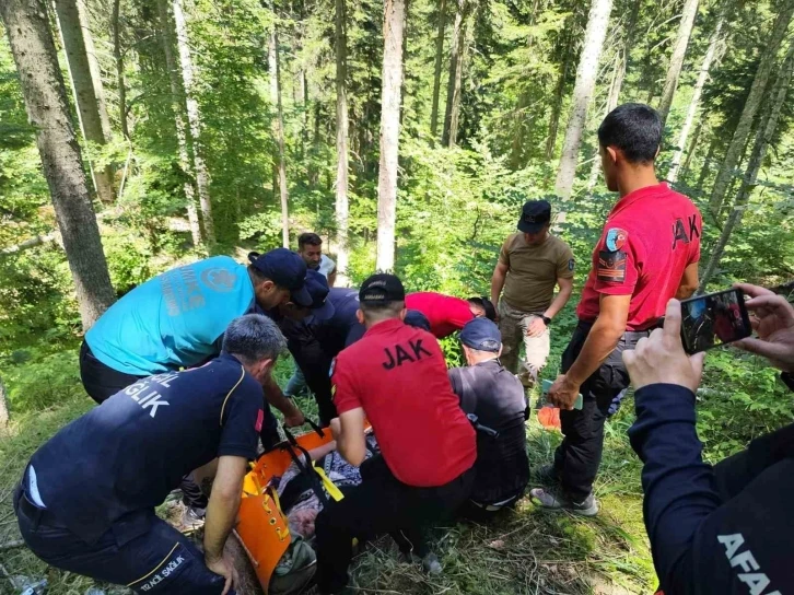 9 gündür kayıp olarak aranan kadın, ormanlık alanda bulundu
