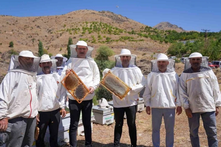 Adana’da bal hasadı başladı
