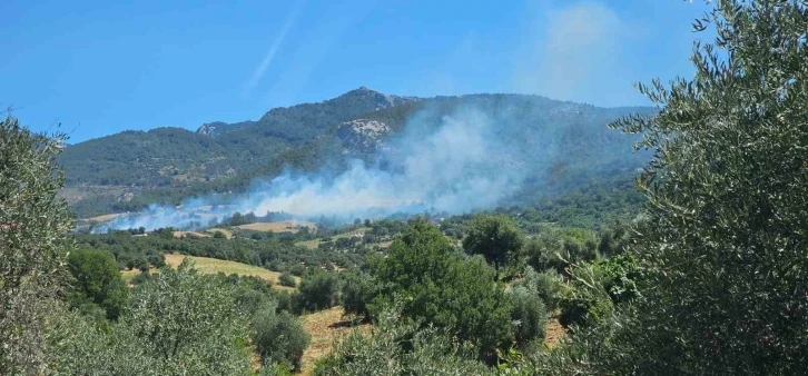 Adana’da orman yangını
