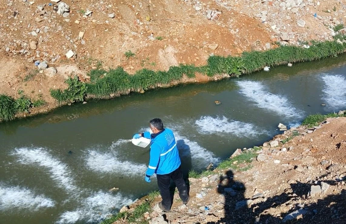 Adıyaman Belediyesi’nden larva mücadelesi
