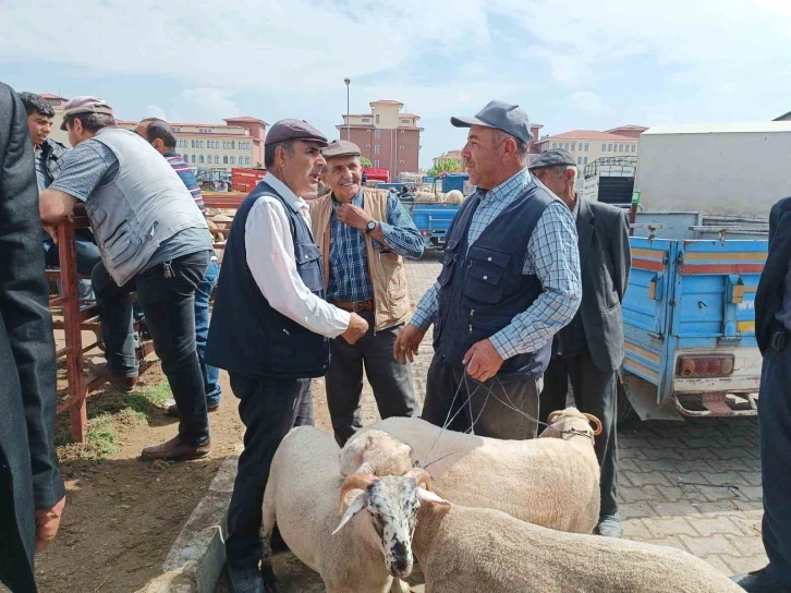 Afyonkarahisar’da küçükbaş kurbanlıklar müşterilerini bekliyor
