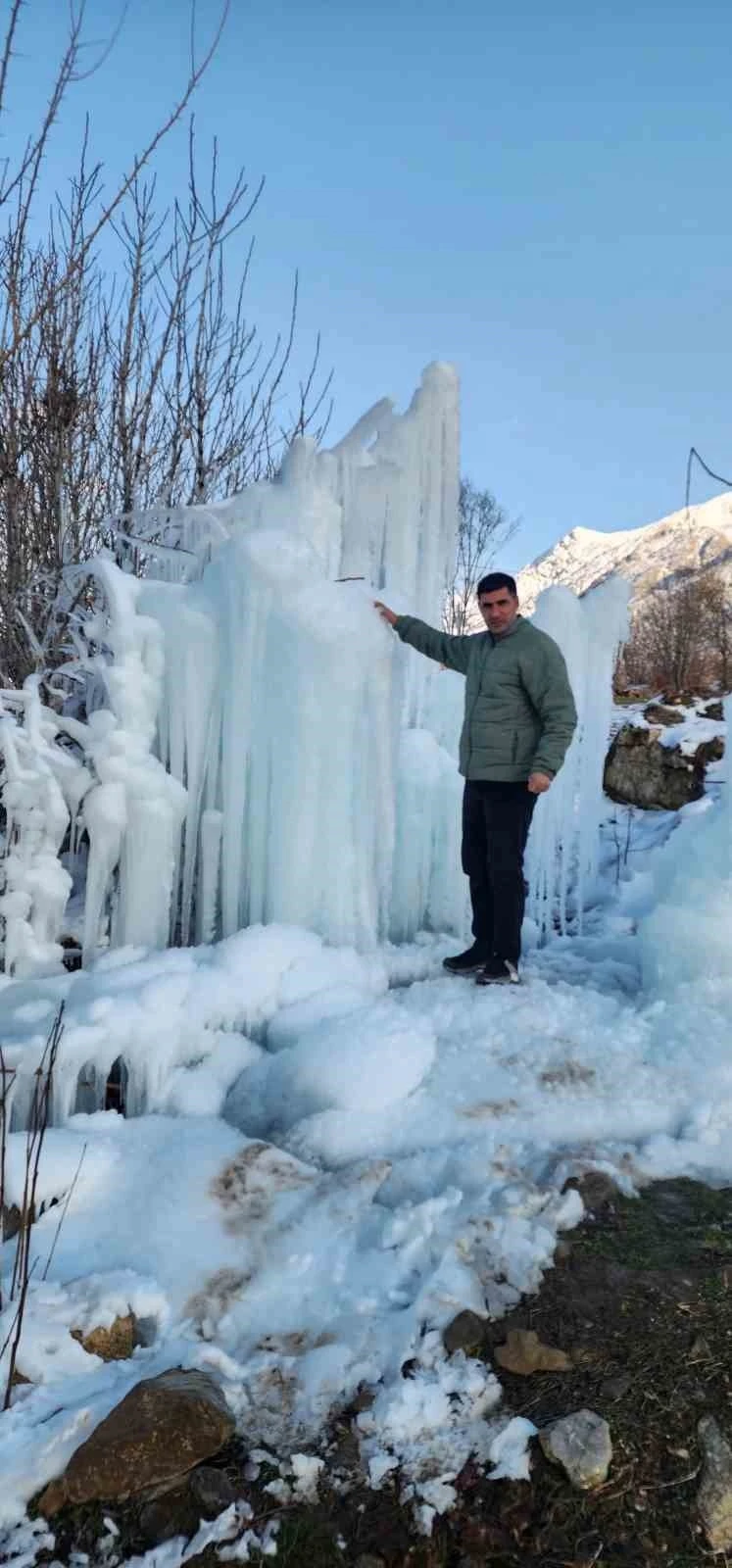 Ağaçta oluşan sarkıtlar travertenleri andırdı
