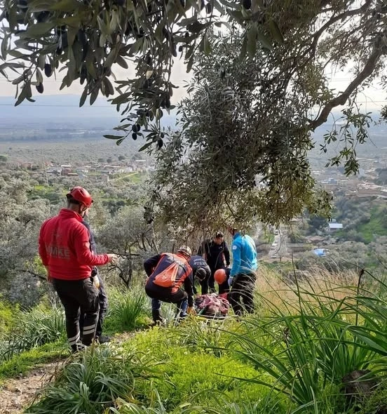 Ağaçtan düşerek ayağı kırılan vatandaşı ekipler kurtardı
