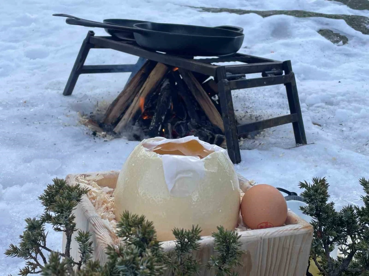 Ağrı Dağı’ndan geldi, Uludağ’da pişti
