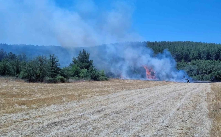 MENTEŞE’DE HUBUBAT TARLASINDA YANGIN ÇIKTI