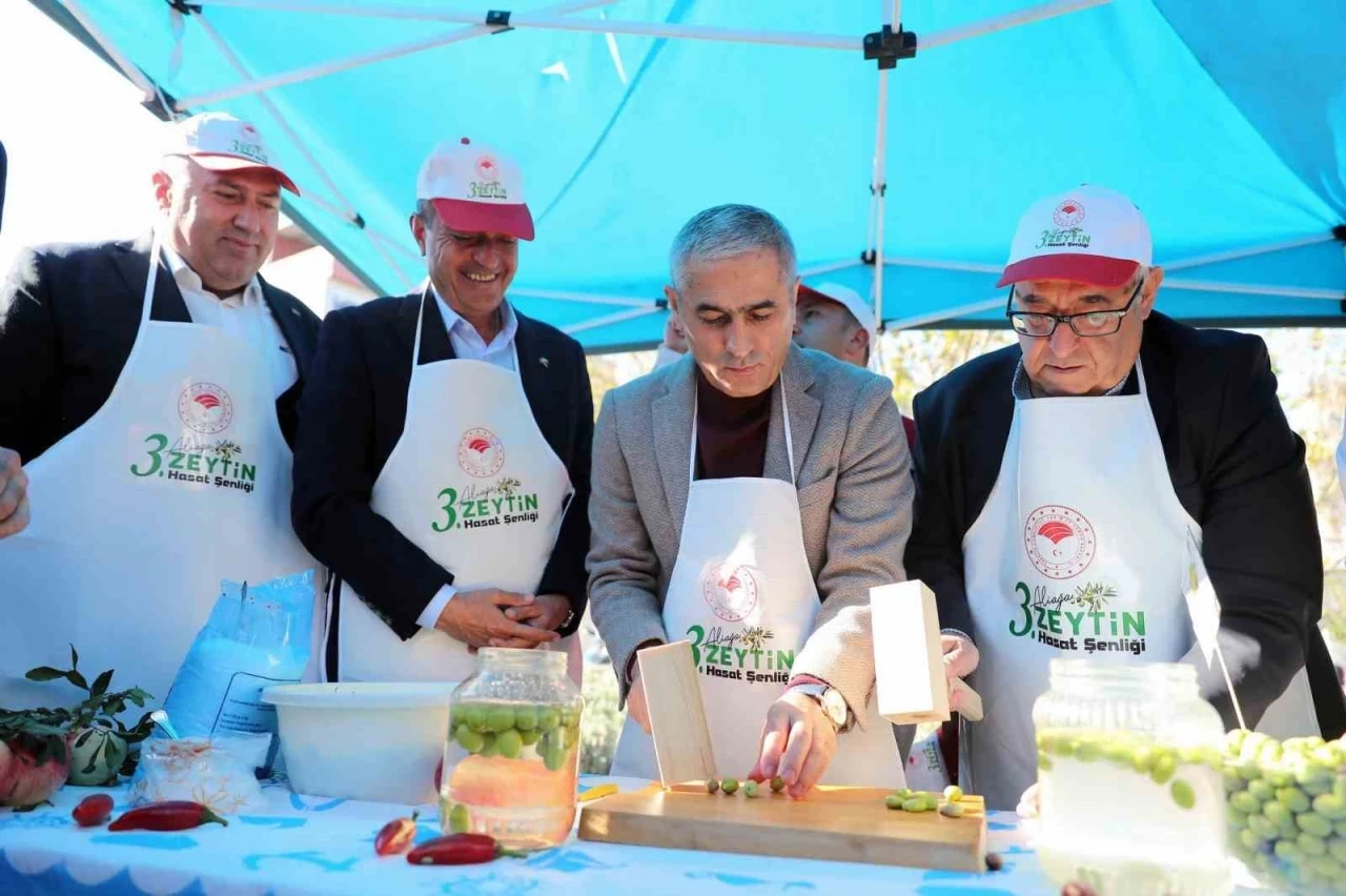 Aliağa’da &quot;3. Zeytin Hasat Şenliği&quot; düzenlendi
