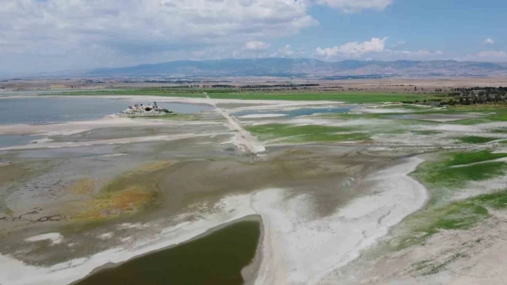 Amasya’daki Yedikır Baraj Gölü’nde kuraklıktan sular çekildi, balık ölümleri görülmeye başladı
