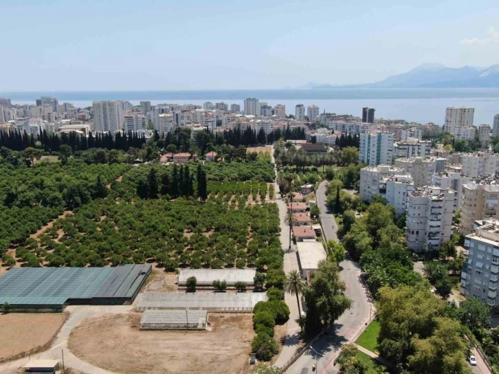 Antalya 19 yılda 100 bin futbol sahası büyüklüğünde tarım alanını kaybetti
