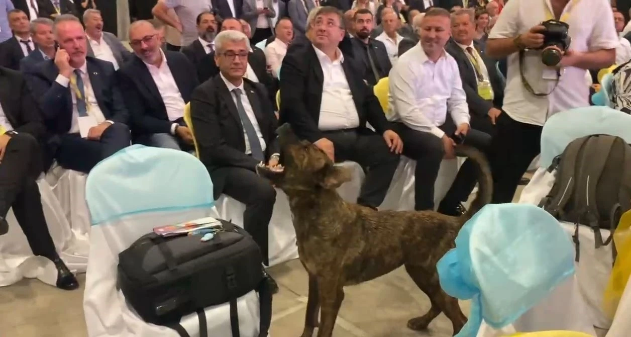 Antalya’da fuar alanına girip dron kovalayan köpek gülümsetti
