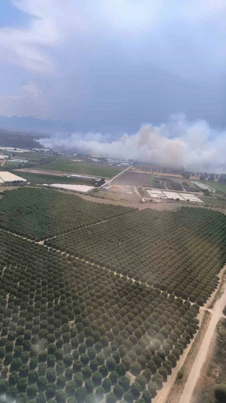 Antalya’da orman yangını
