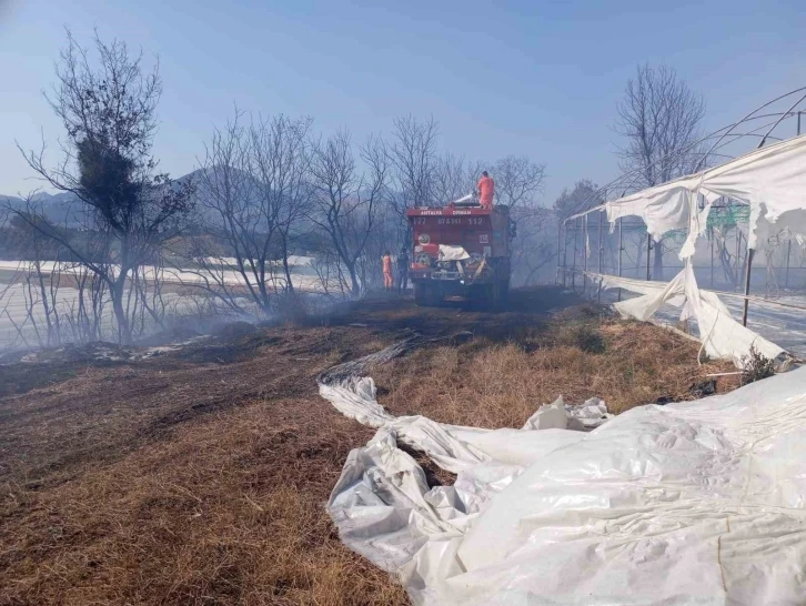 Antalya’da otluk alanda başlayan yangın zeytin ağaçlarına ve seraya sıçradı
