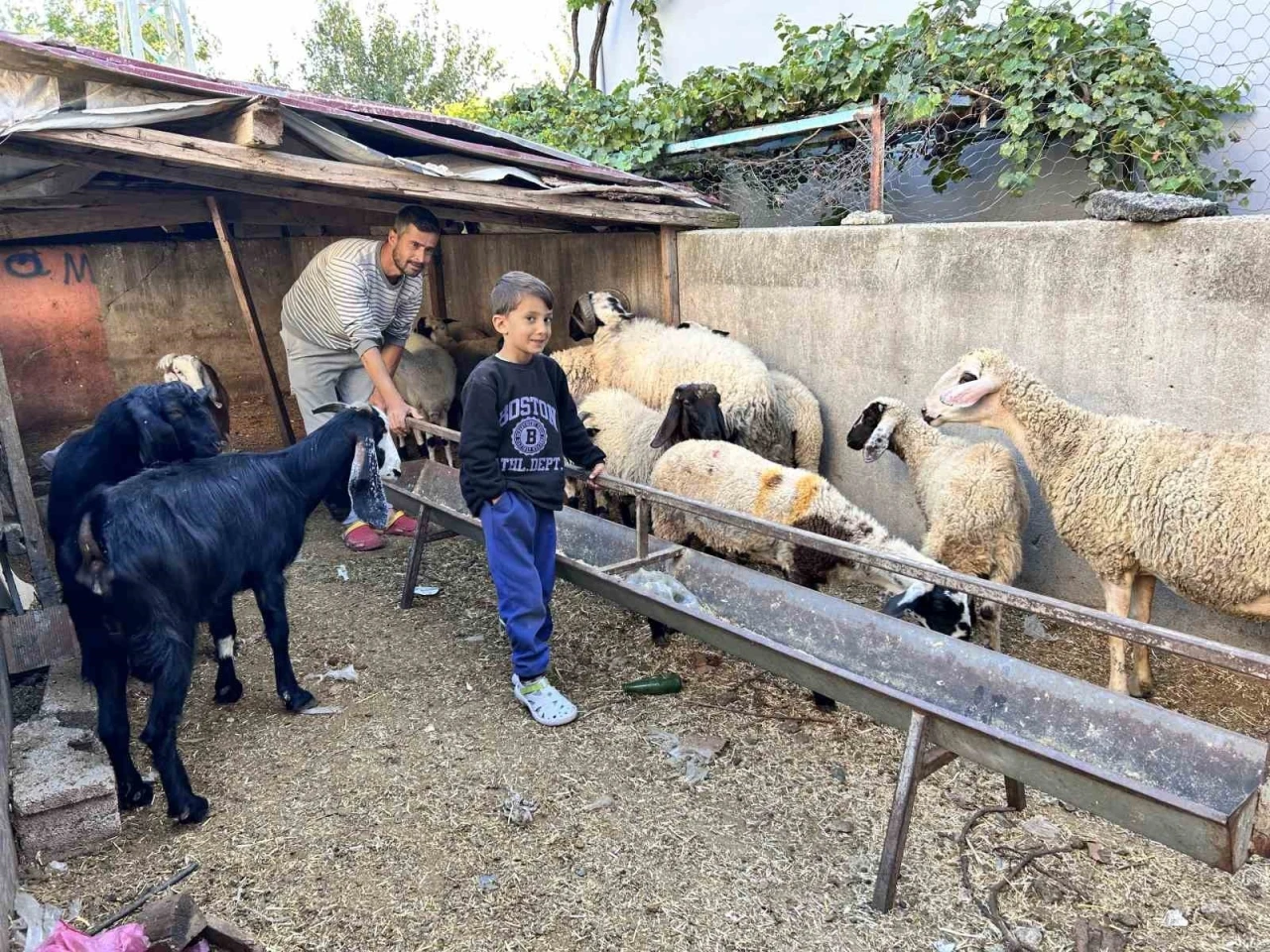 Arabasını satarak hayvancılığa başlayan depremzede baba ve böbrek hastası 2 evladının umudu olan 22 koyunu polis ekipleri buldu
