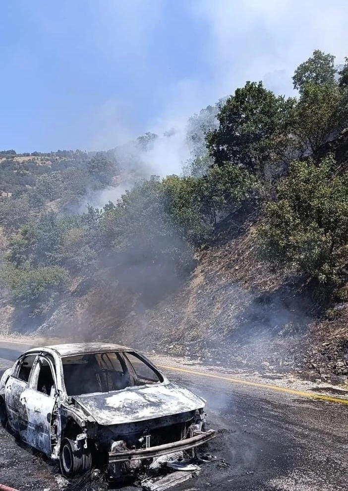 Araçtan çıkan yangın ormana sıçradı
