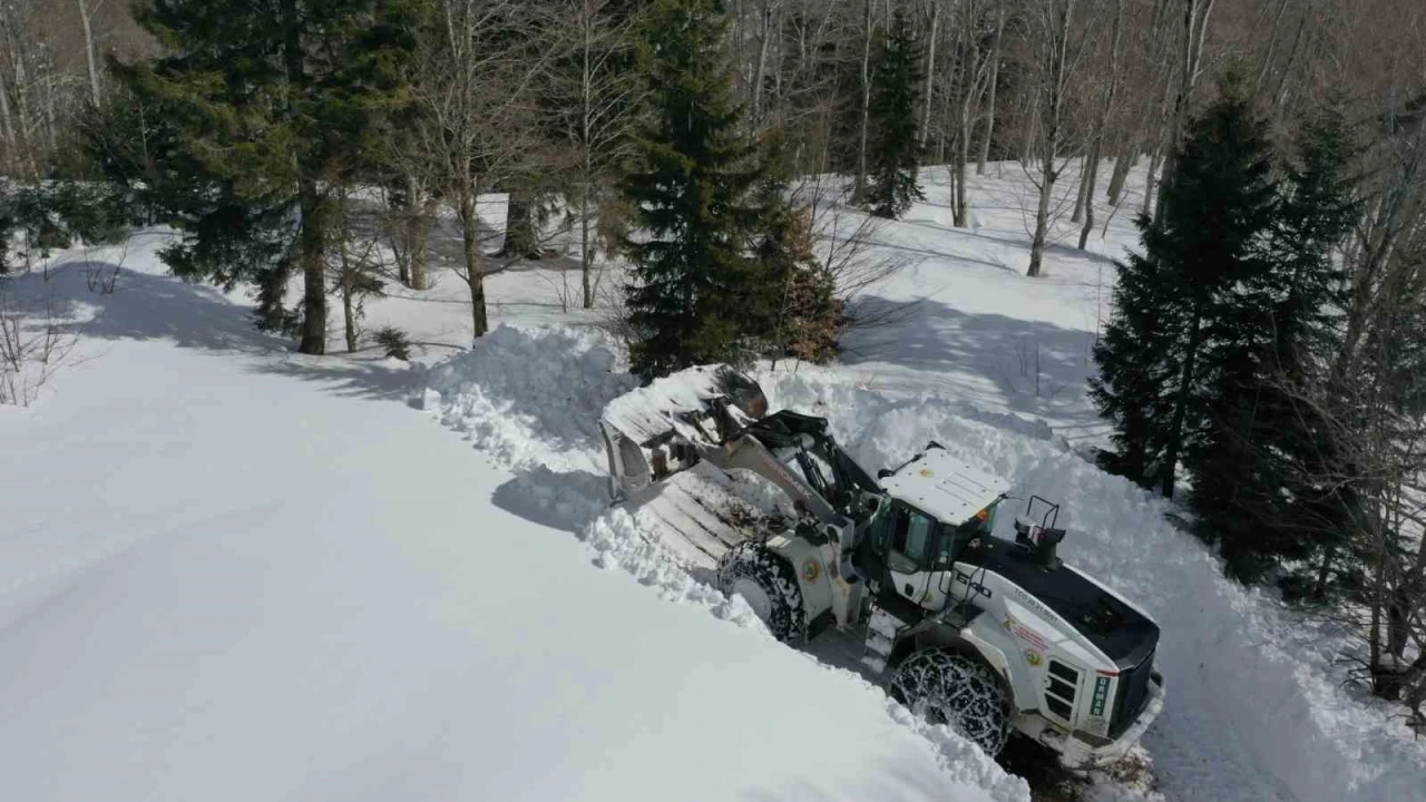 Artvin’de kar yağışı durdu, köylerde yol açma çalışmaları sürüyor
