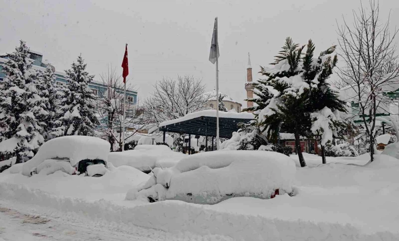 Artvin şehir merkezinde kar esareti
