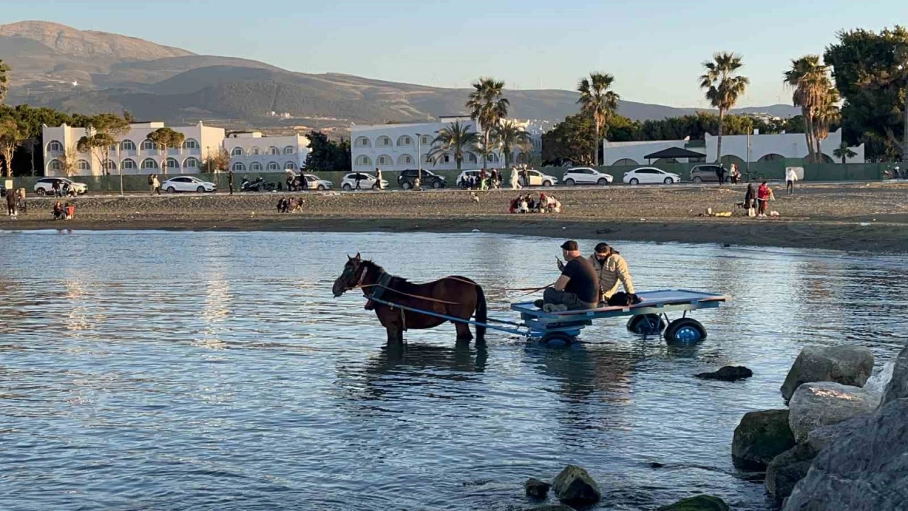 At arabasıyla denize girip güneşlendiler
