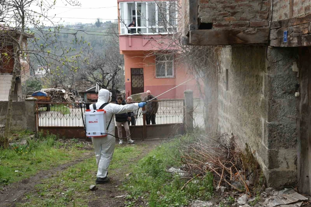 Atakum’da kahverengi kokarca ile mücadele çalışması
