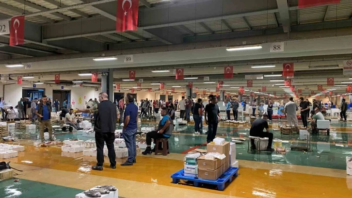 Av yasağı sona erdi, İstanbul’da sezonun ilk balıkları avlandı
