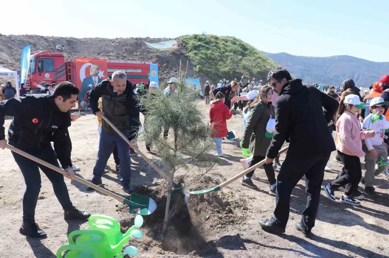 Aydın’da fidanlar toprakla buluştu
