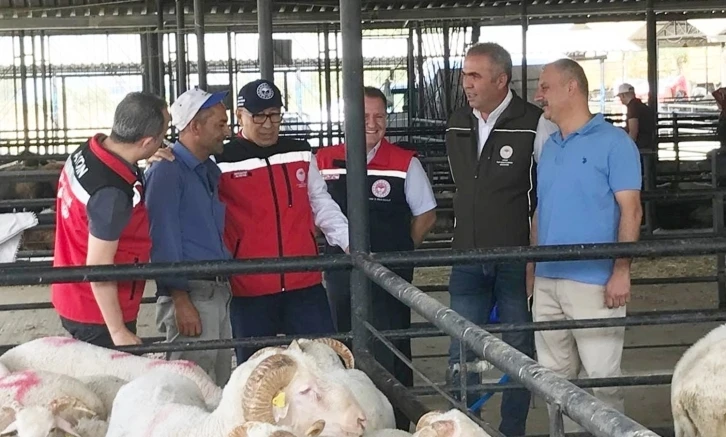 Aydın’da kurban satış yerlerinde sıkı denetim
