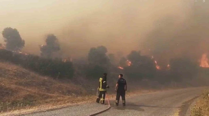 Aydın’da orman yangını
