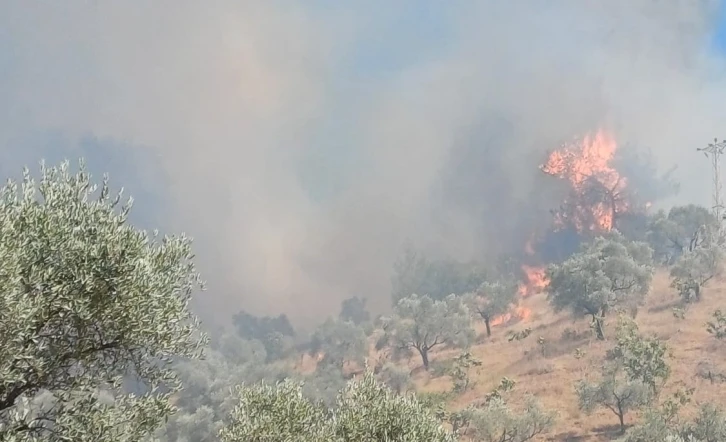 Efeler’deki Yangın Kontrol Altına Alındı