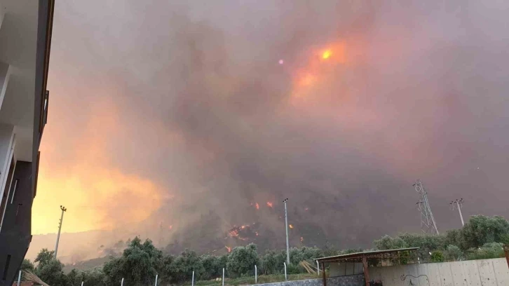 Aydın'da Başlayan Yangın Söke'ye Kadar Yayıldı