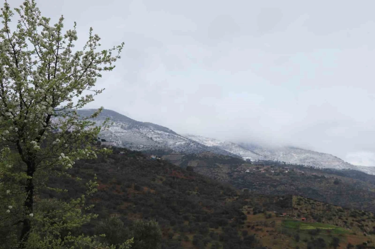 Aynı karede hem bahar, hem kış
