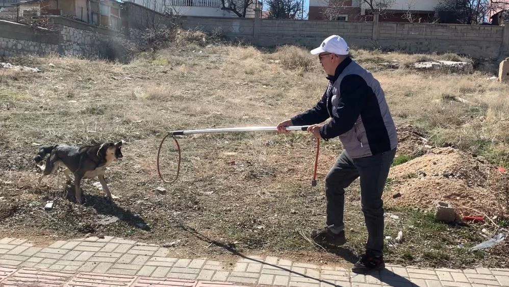 Baba ile Oğluna Saldıran Köpek Yakalandı