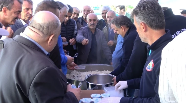 Bafra Ovası’nda Çeltik Hasat Şenliği: 165 bin ton rekolte beklentisi
