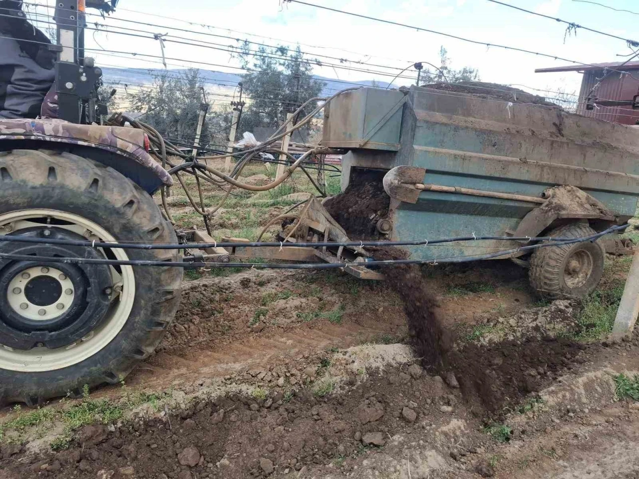 Bağlara önce milli toprak ardından doğal hayvan gübresi
