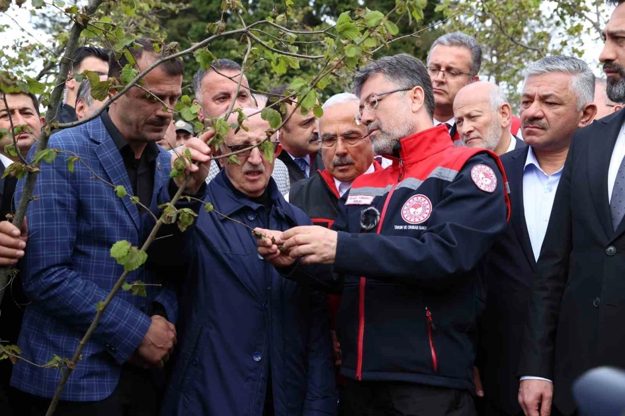 Bakan Yumaklı: &quot;Zirai don nedeniyle zarar gören ağaçlarda kulaktan dolma bilgilerle budama yapılmamalı&quot;
