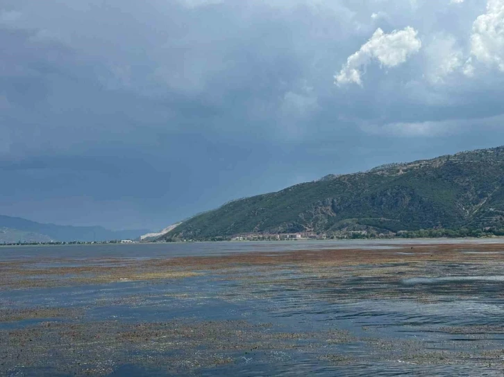 Bakanlık harekete geçti, Eğirdir Göl’ü temizlenecek
