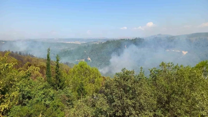 Balıkesir’deki orman yangınlarına müdahale sürüyor
