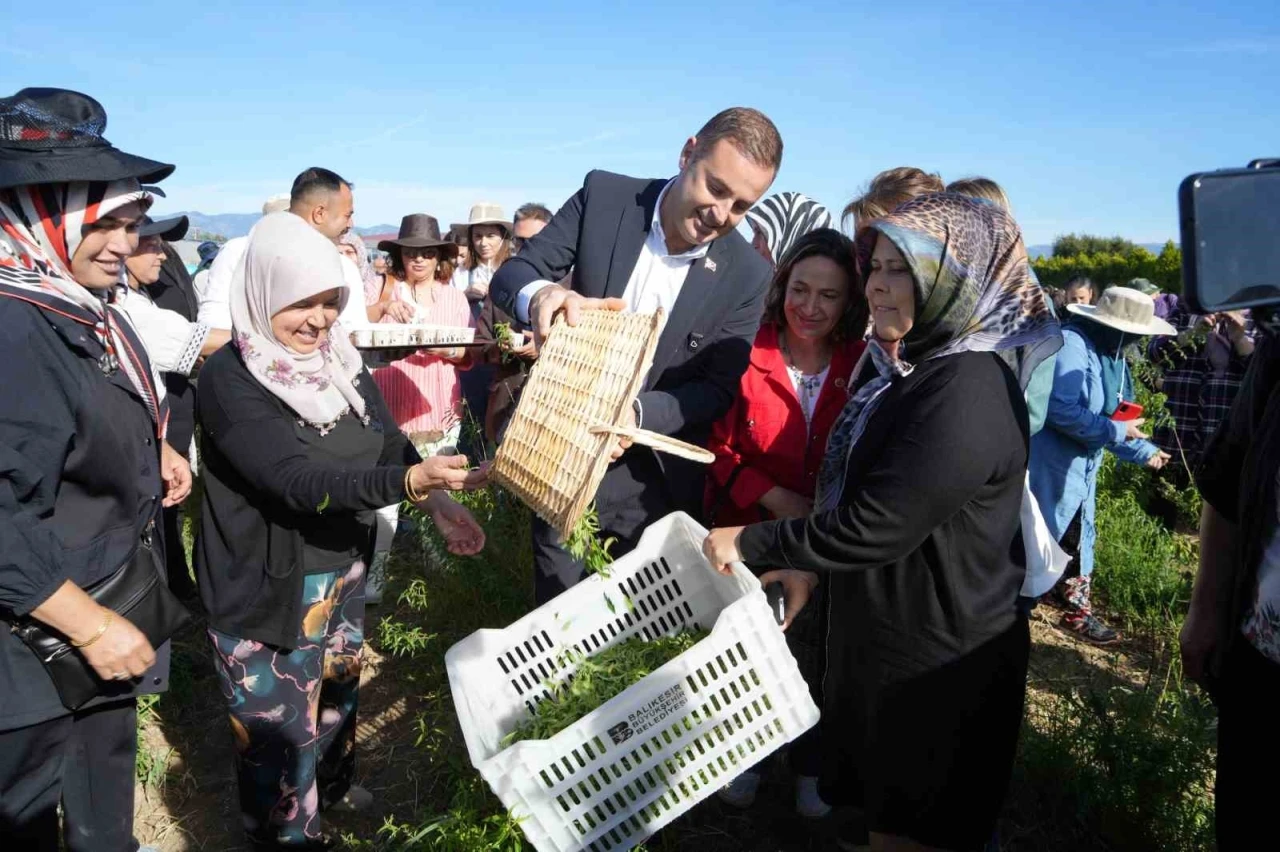 Başkan Akın, kadın çiftçilerin yanında
