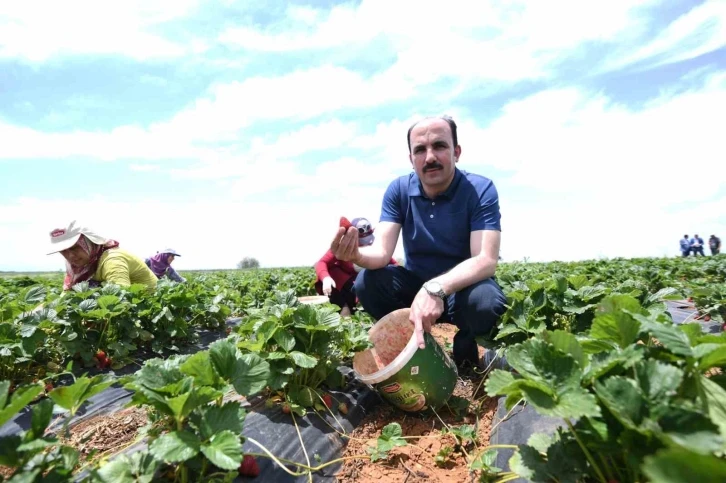 Başkan Altay: “Hüyük çileği AB tescili alan Konya’mızın ilk ürünü oldu, hayırlı olsun"
