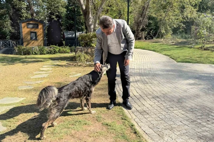 Başkan Yetişkin: "Canlarımızı Efeler’de yaşatacağız"
