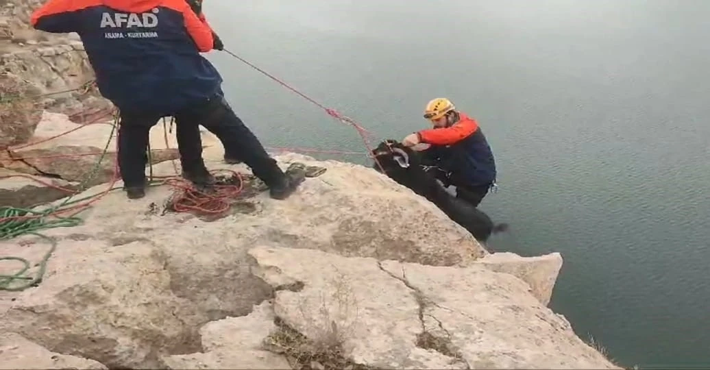 Batman’da kayalıklarda mahsur kalan 20 keçi AFAD ekiplerince kurtarıldı
