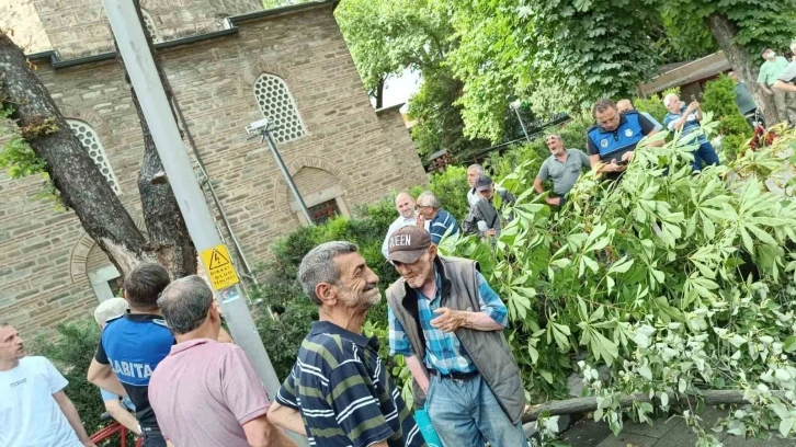 Bayram alışverişi yapanların üzerine ağaç devrildi
