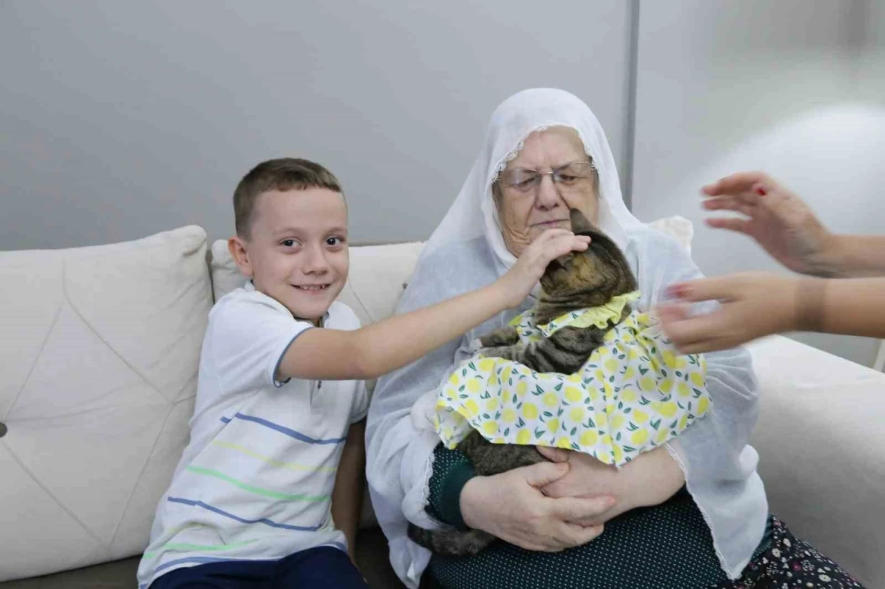 Bebek gibi giydirdiği kedisiyle 82 yaşında fenomen oldu
