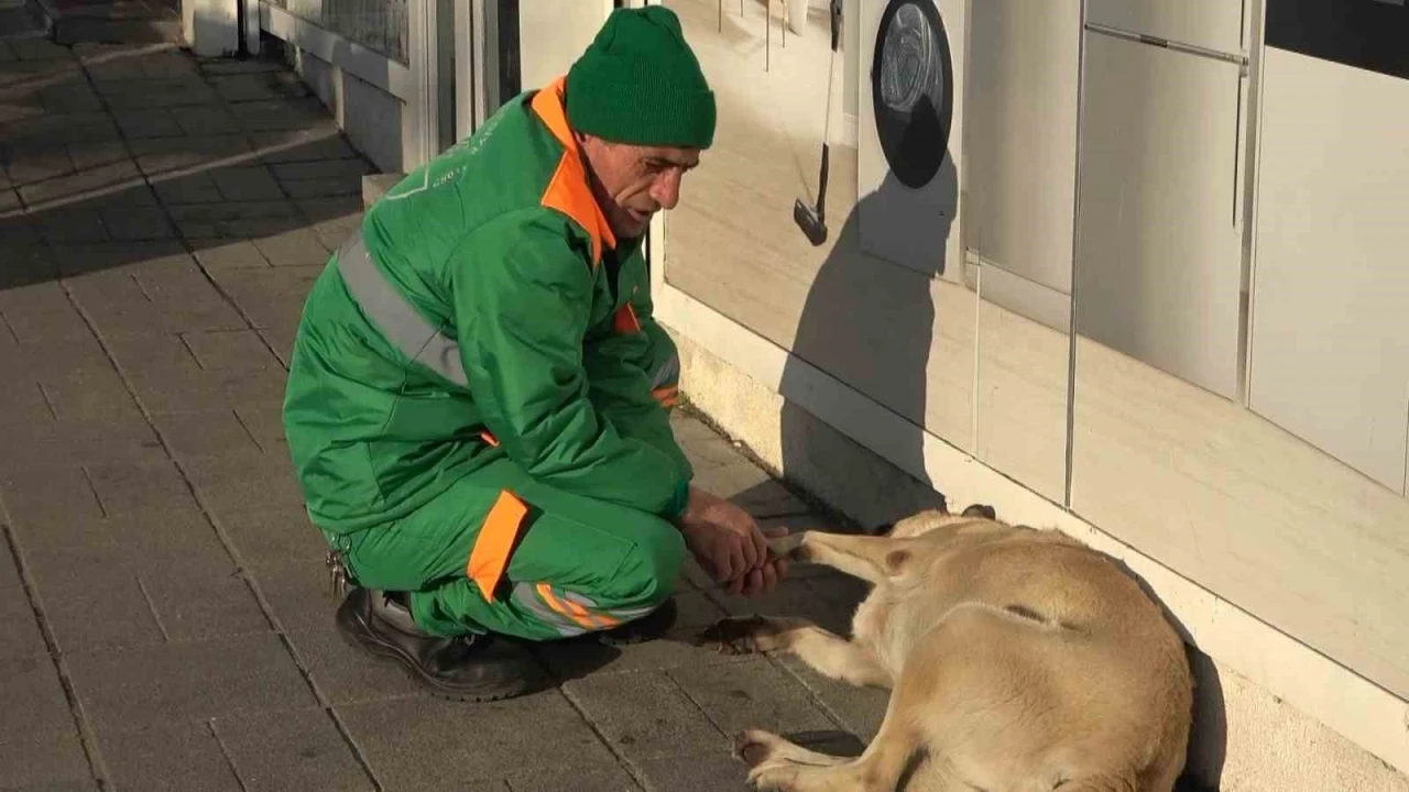 Belediye çalışanının köpekle keyifli vakit geçirmesi içleri ısıttı
