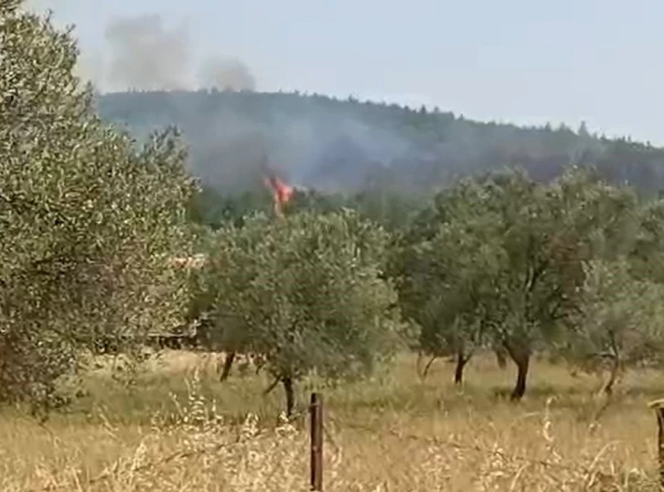 Bergama’da orman yangını
