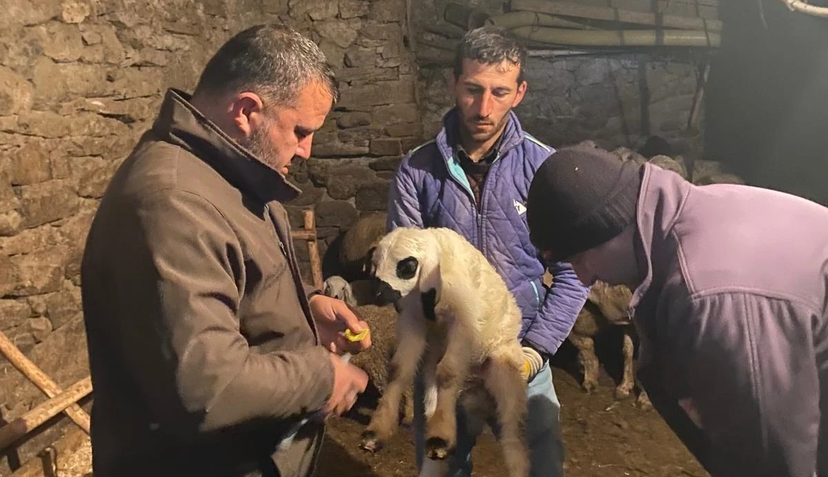 Beyşehir’de küçükbaş hayvanlar sağlık taramasından geçiriliyor
