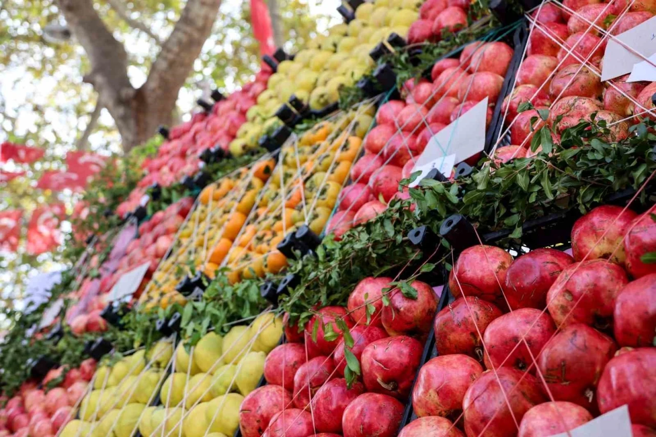 Bilecik nar üretiminde Türkiye’de 16’ncı sırada
