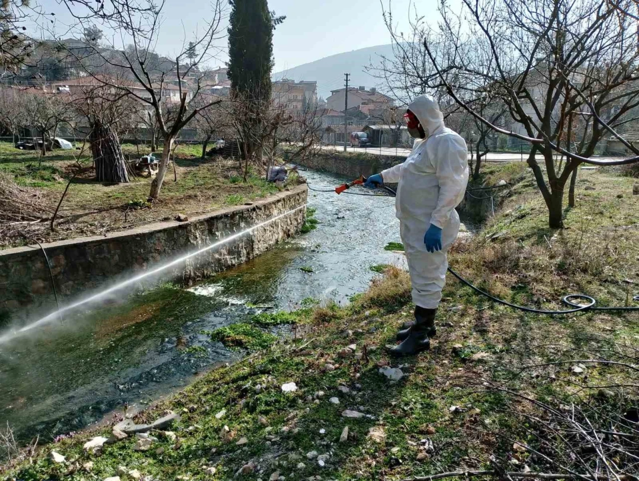 Bilecik’te sivrisineklerle mücadeleye devam ediyor
