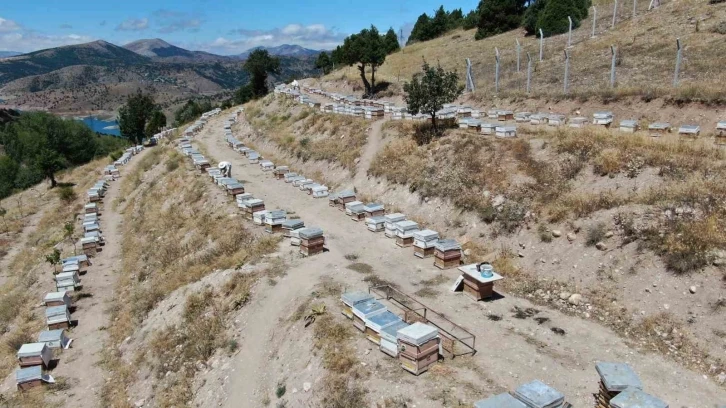 Binbir zahmetle üretiliyor, 100 gramı 2 bin 500 liradan alıcı buluyor
