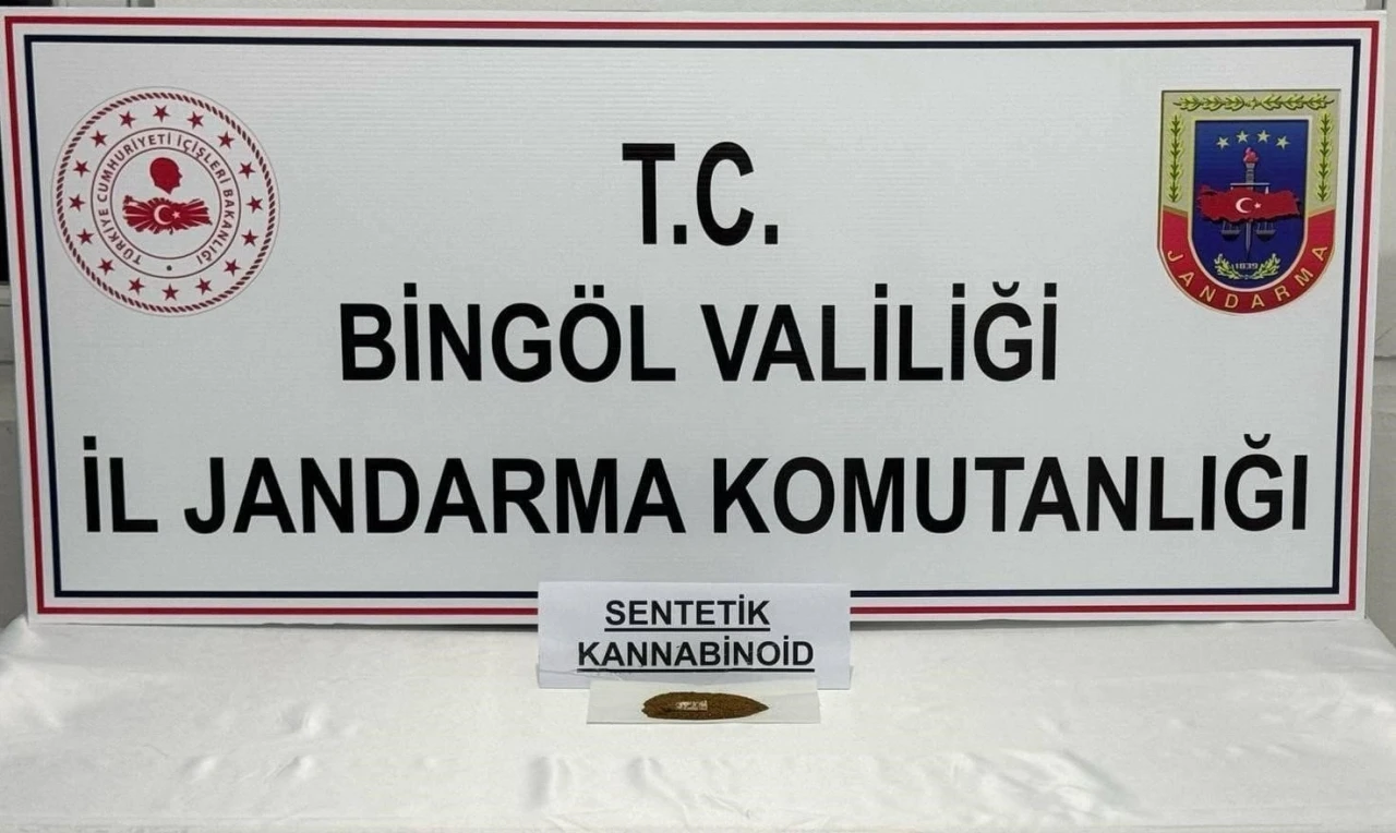 Bingöl’de bonzai ele geçirildi: 4 gözaltı
